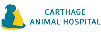 Link to Homepage of Carthage Animal Hospital
