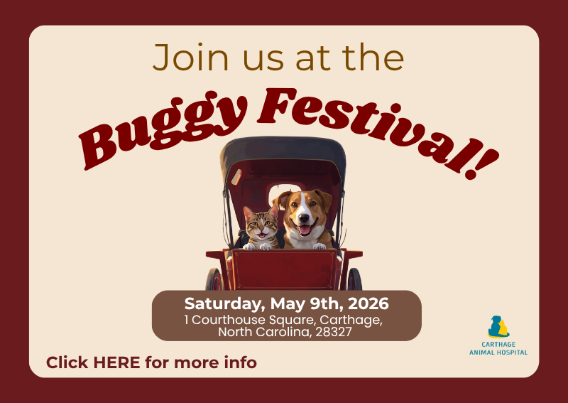 Carousel Slide 1: Click here for more info!