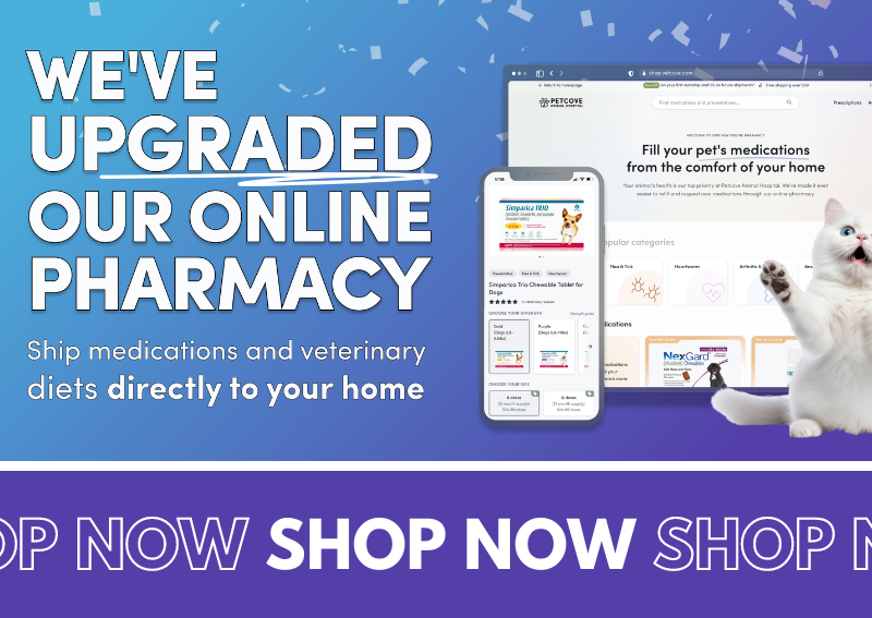 Carousel Slide 1: Check out our new online pet pharmacy!